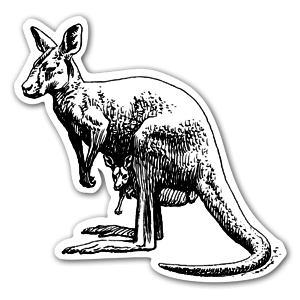 Kangaroo Klistremerker